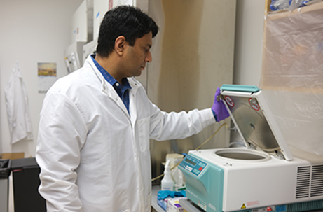 A researcher looking at a microcentrifuge.