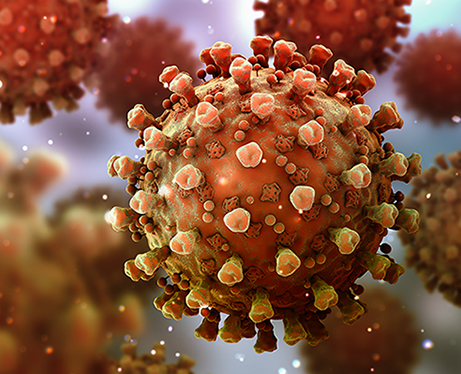 Close-up illustration of coronavirus.