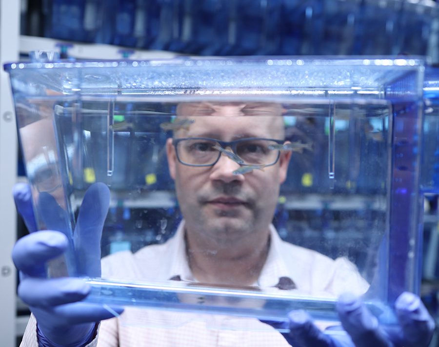 Dr. Benjain Lindsey looks through a fishtank.