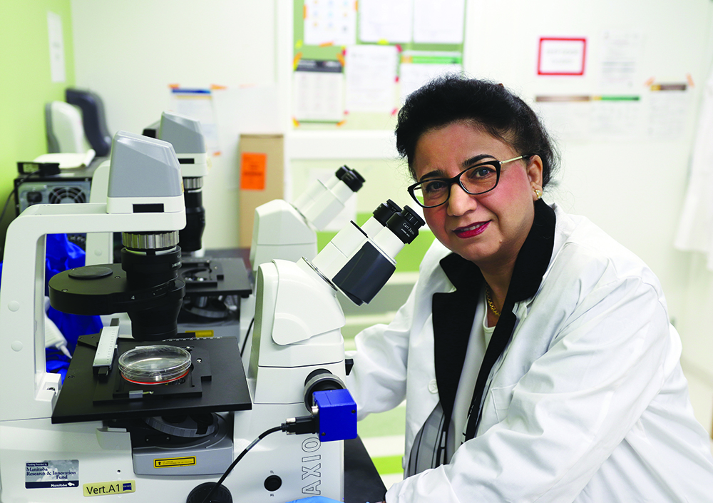 Mojgan Rastegar working at a microscope.