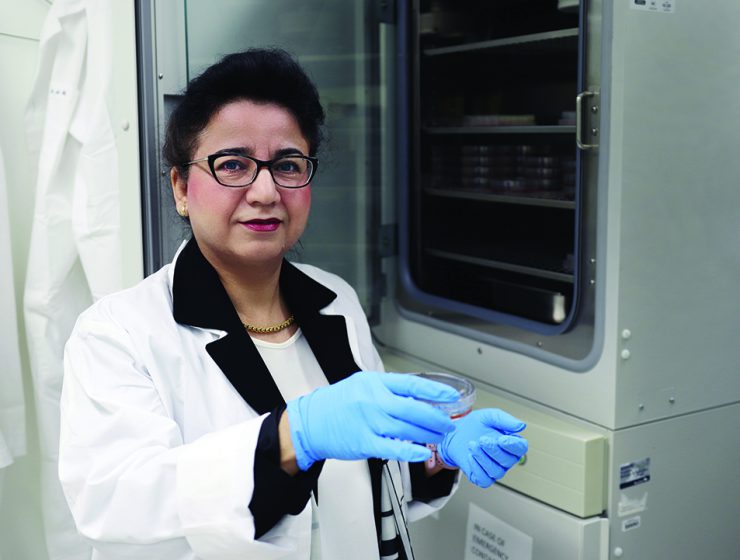 Dr. Mojgan Rastegar takes cultured mouse cells from an incubator to monitor under a microscope.