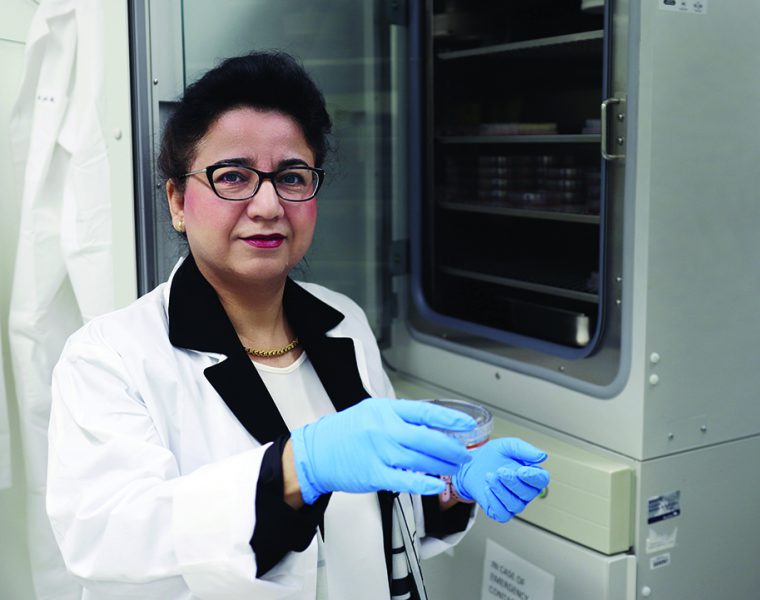 Dr. Mojgan Rastegar takes cultured mouse cells from an incubator to monitor under a microscope.