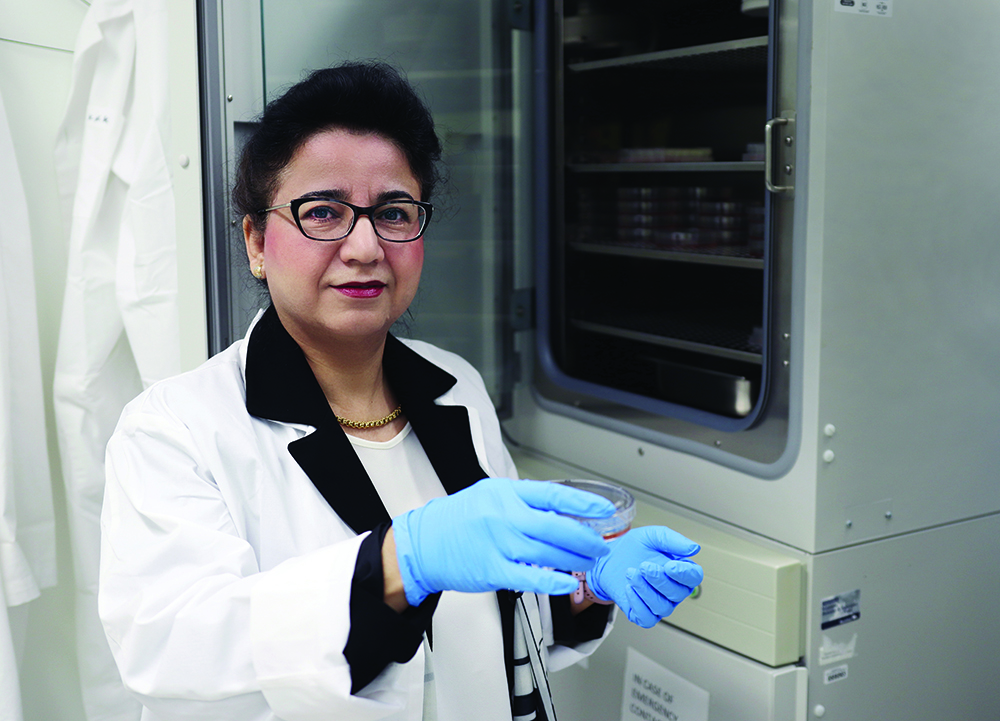 Dr. Mojgan Rastegar takes cultured mouse cells from an incubator to monitor under a microscope.